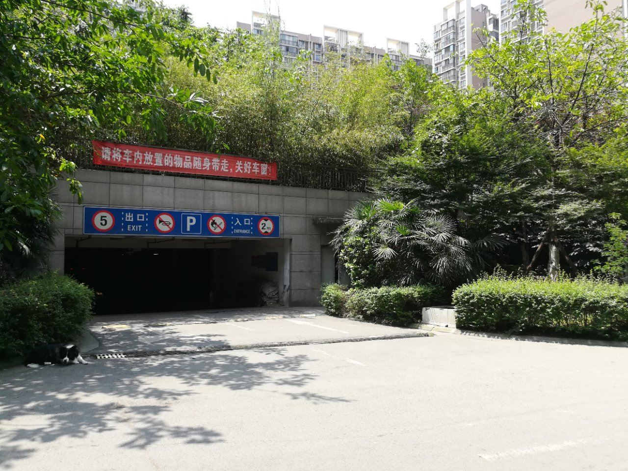 公共区域
