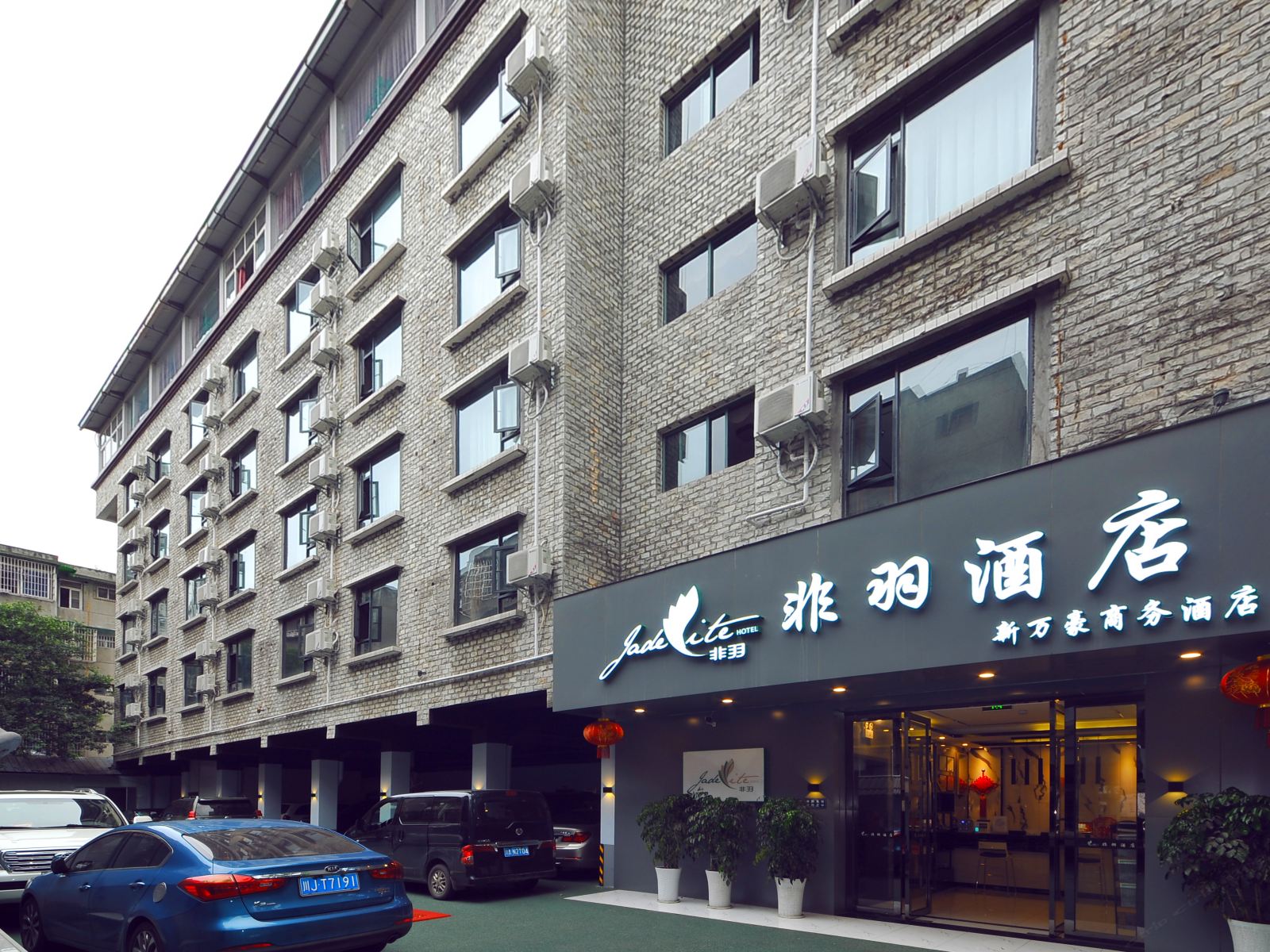 外观