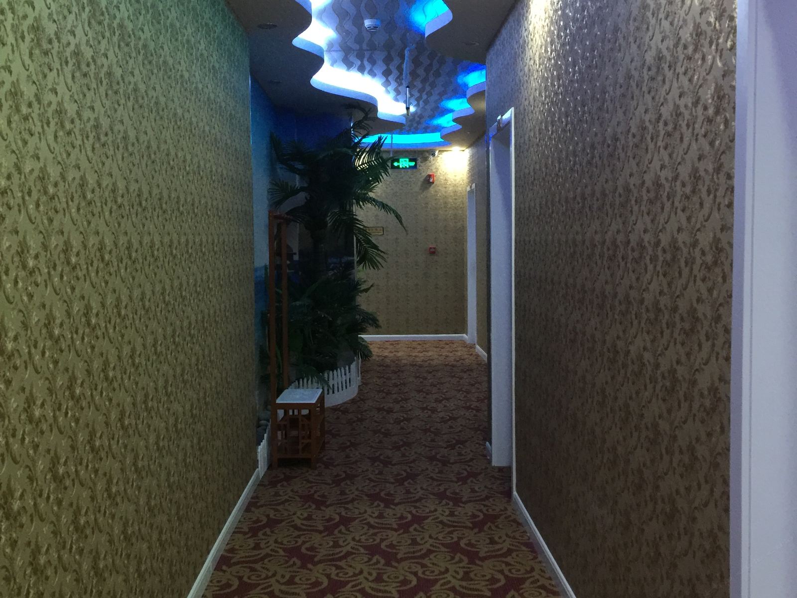 公共区域