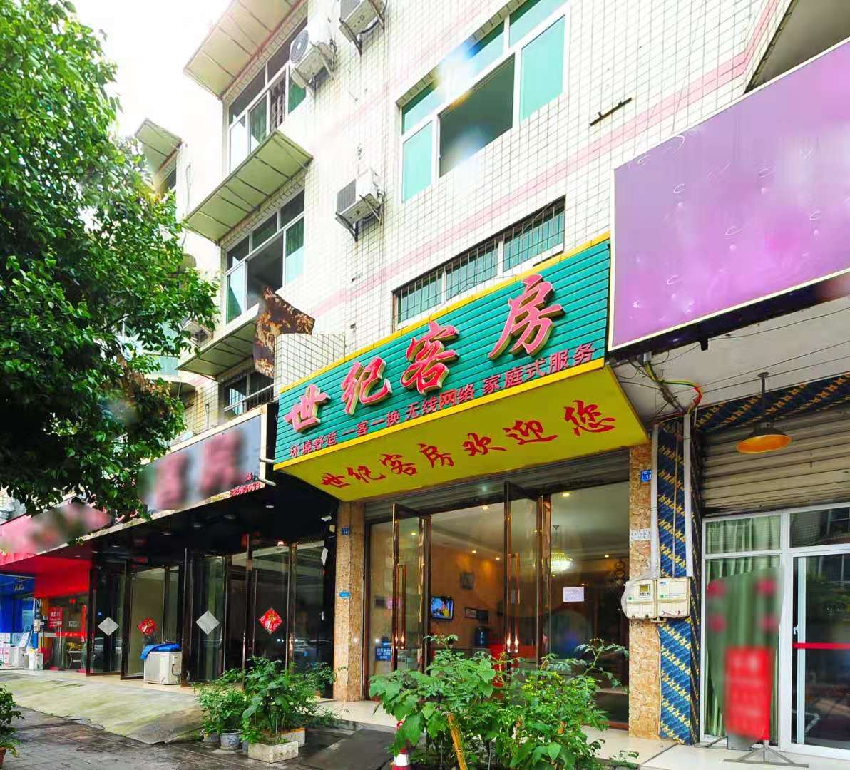 外观