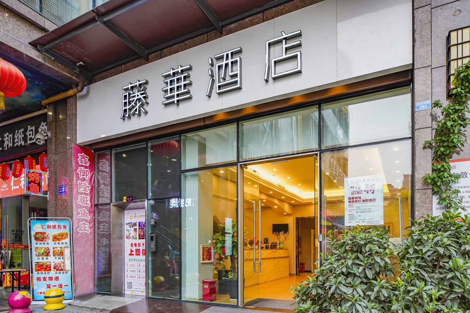 外观