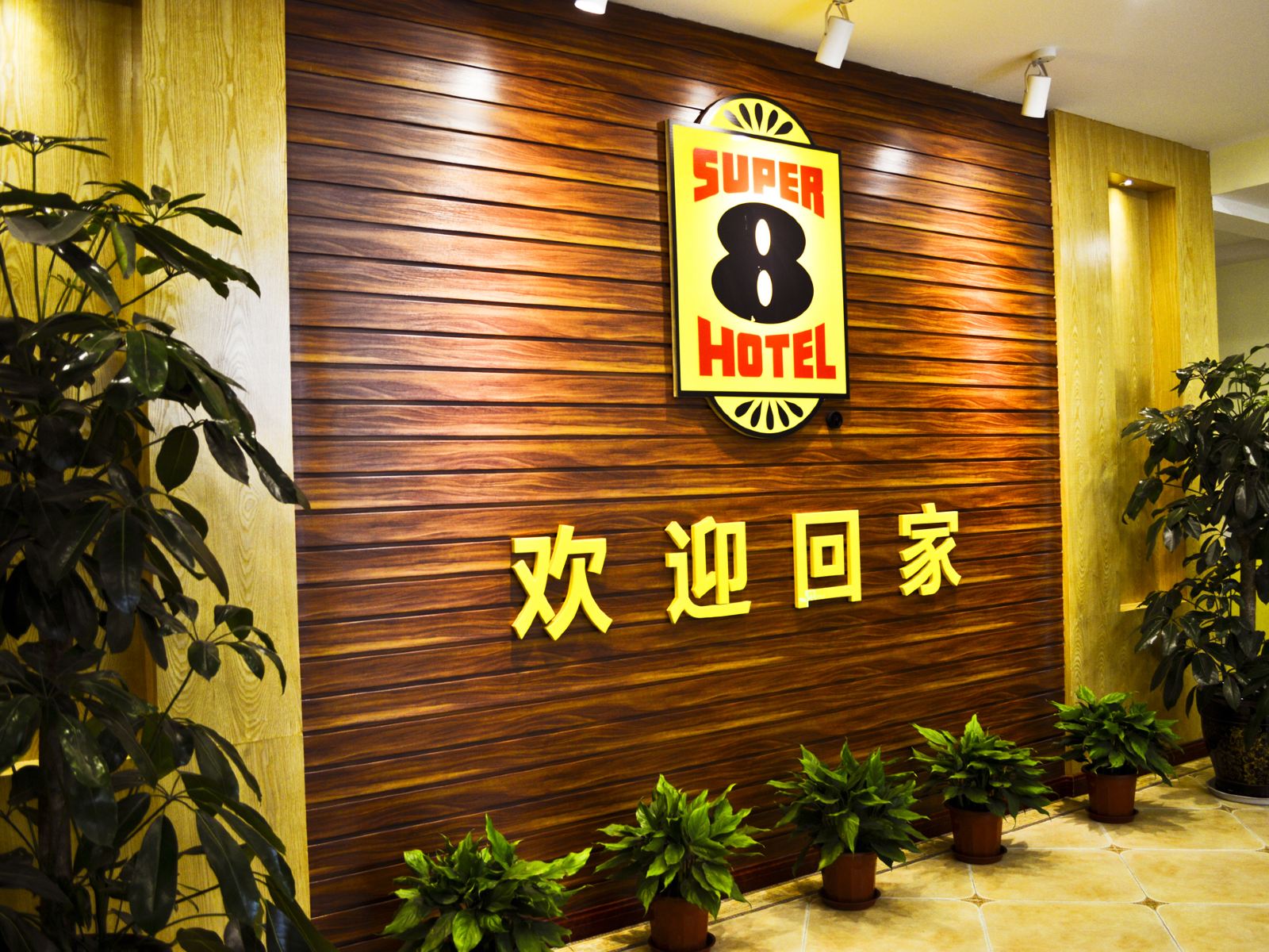 公共区域