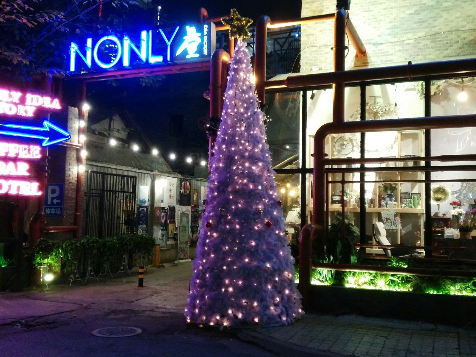 外观