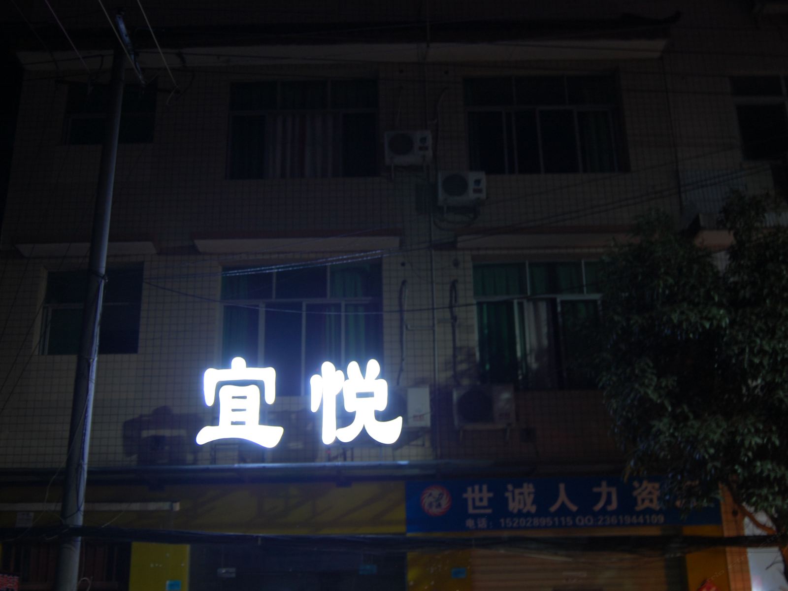 外观