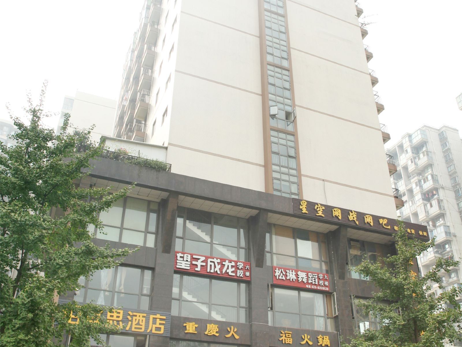 外观