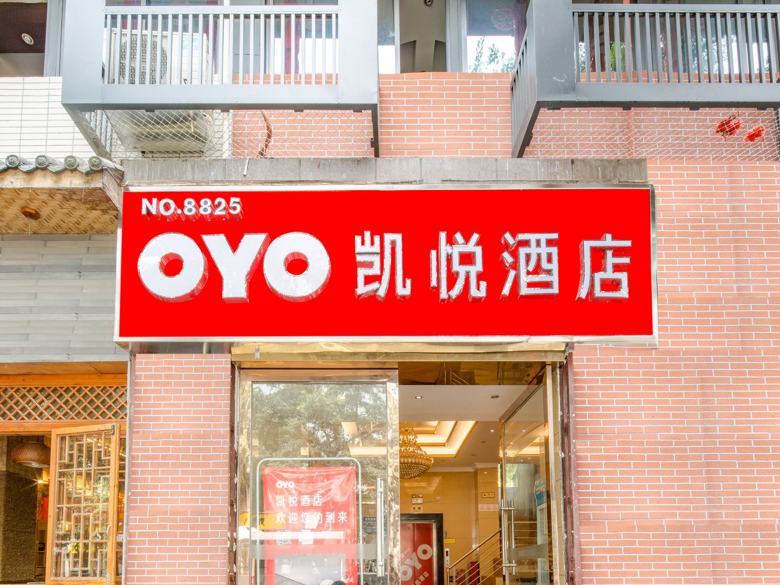 外观