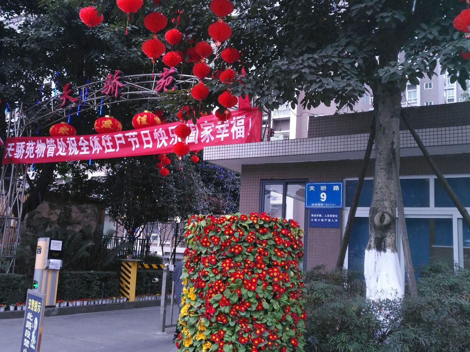 外观