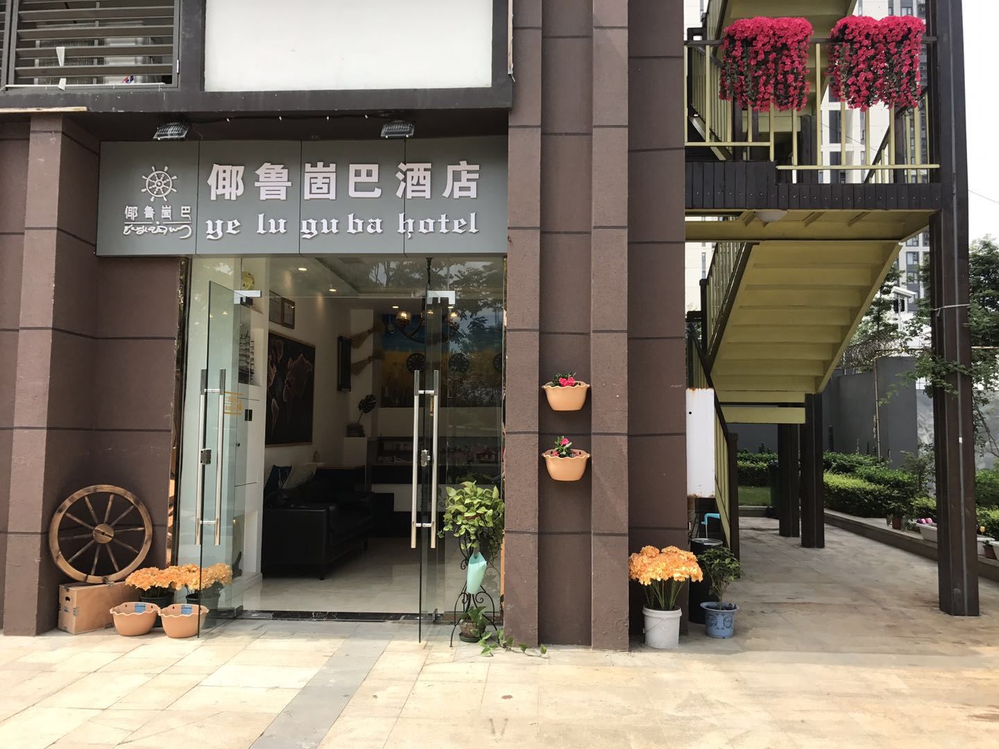 外观