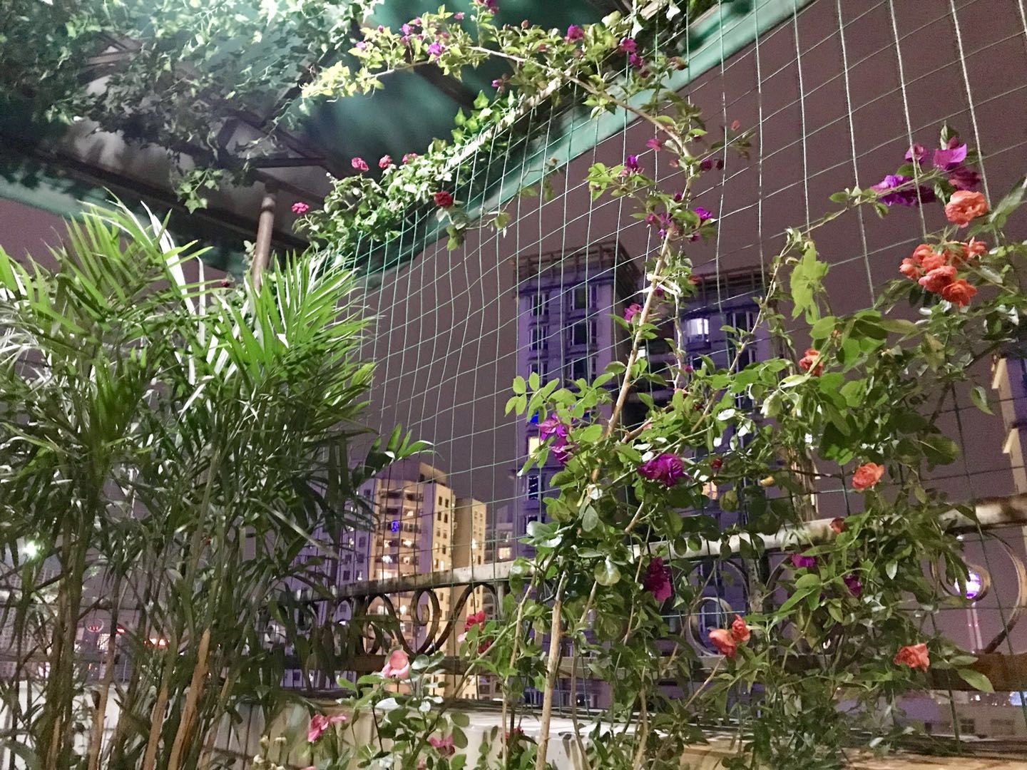 成都花隅青年旅舍