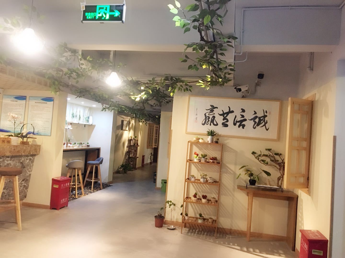 公共区域