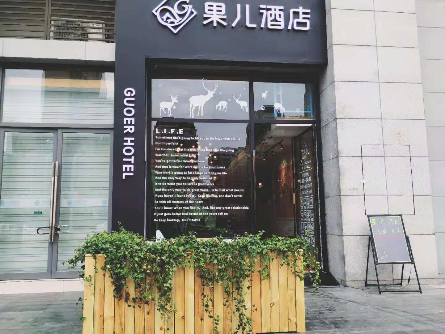 外观