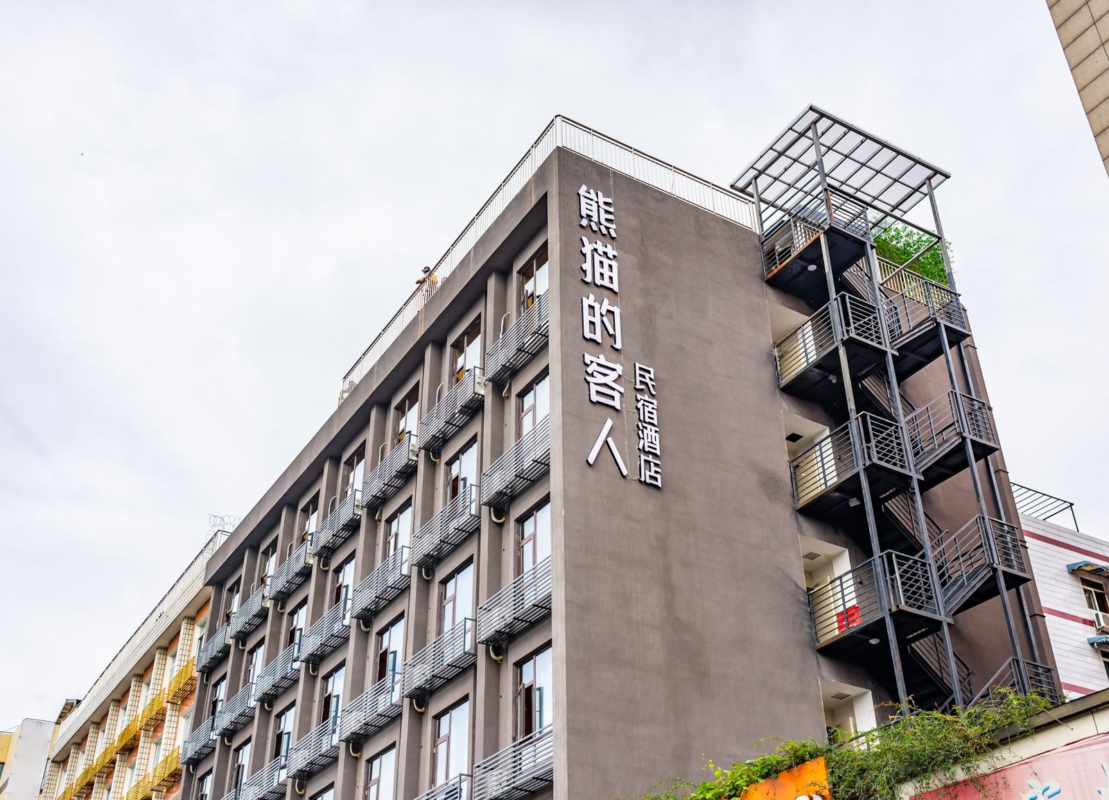 外观