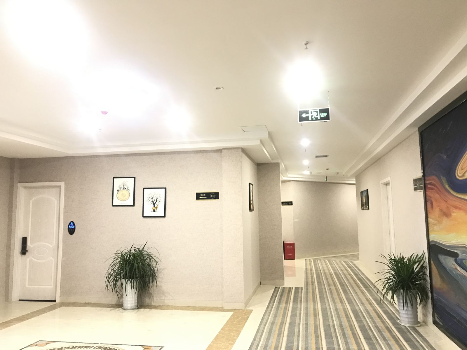 公共区域