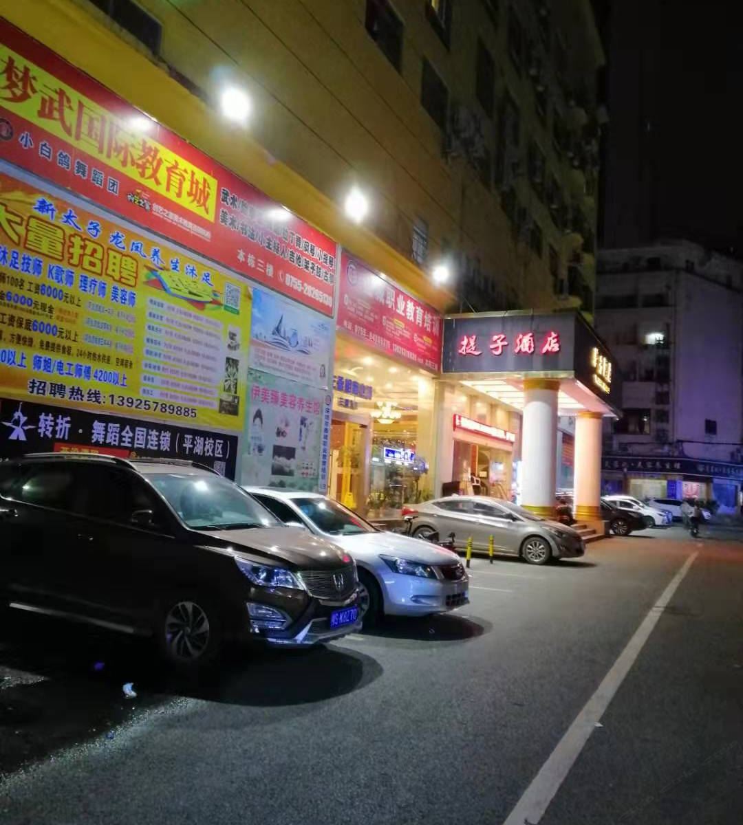 提子酒店(深圳平湖店)