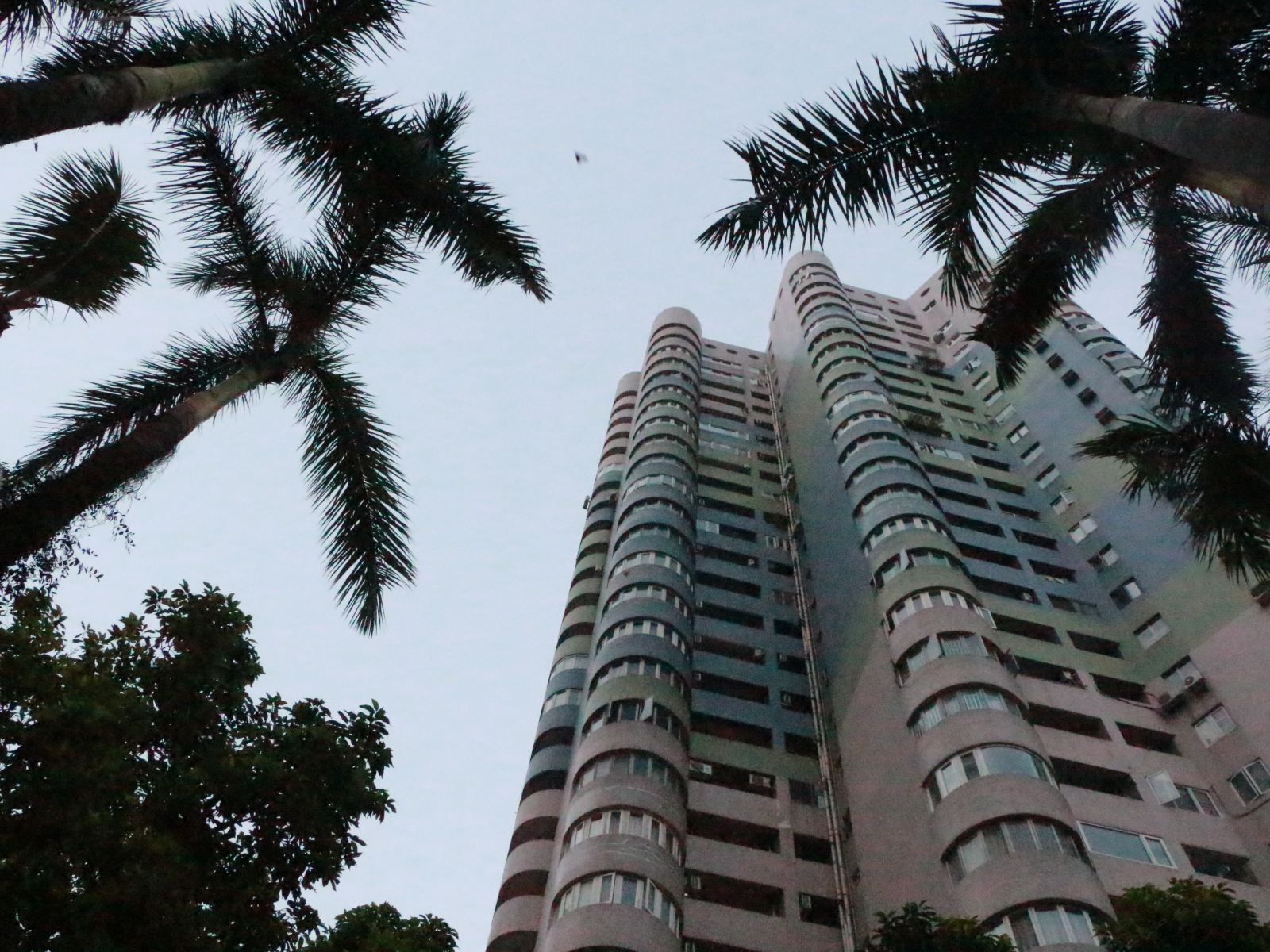 深圳恩克旅社