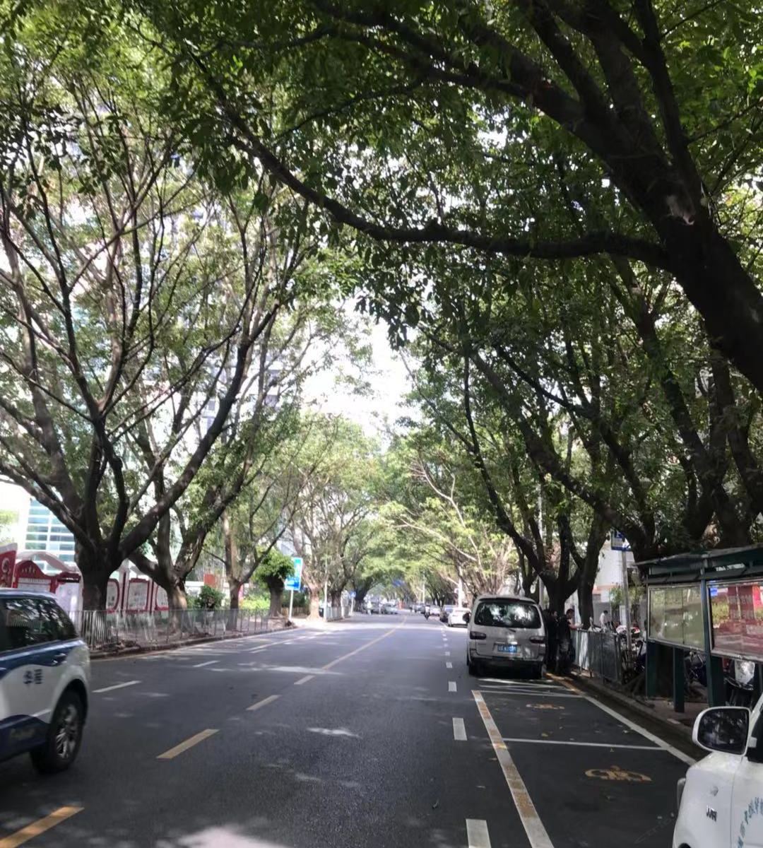 深圳嘉家公寓