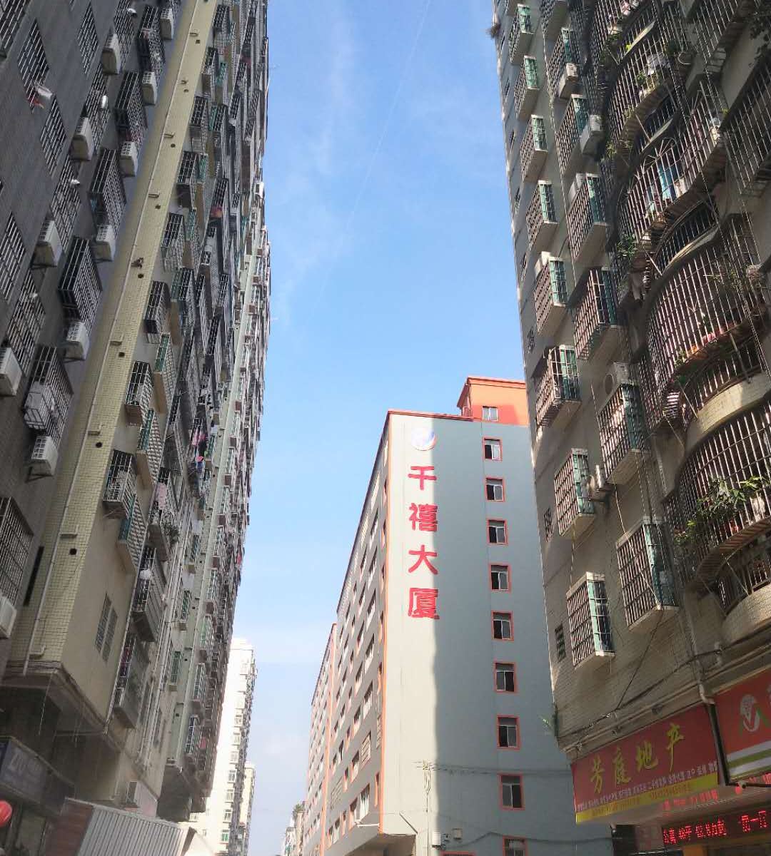 深圳168五和青年旅社