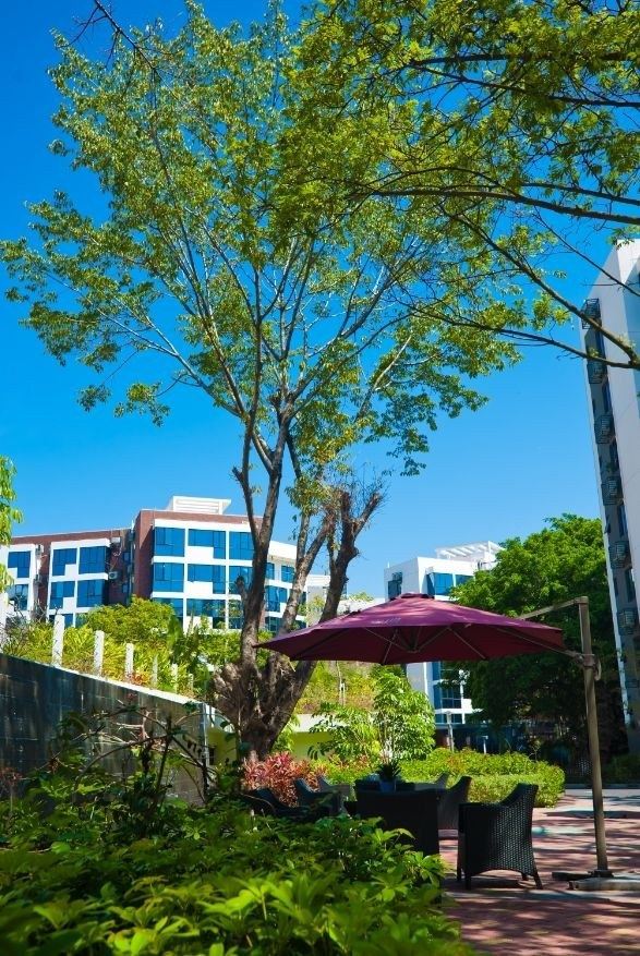 深圳蛇口壹间公寓