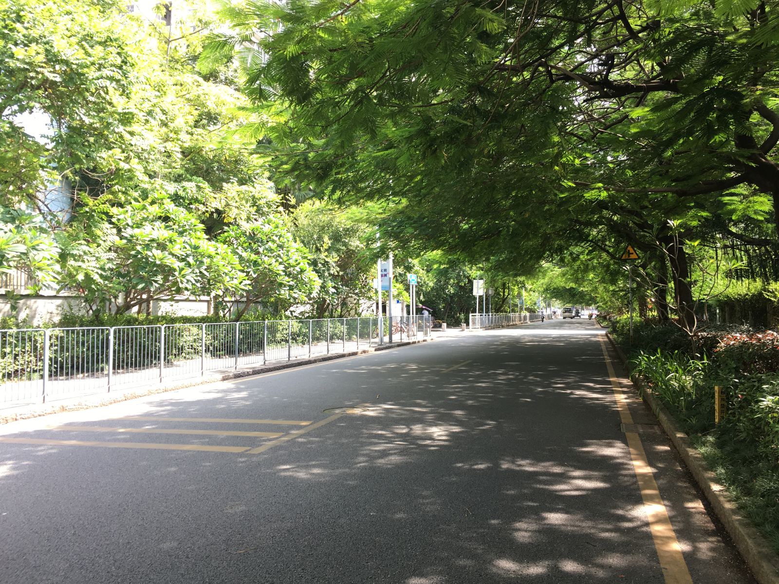 深圳悦来居青年旅舍