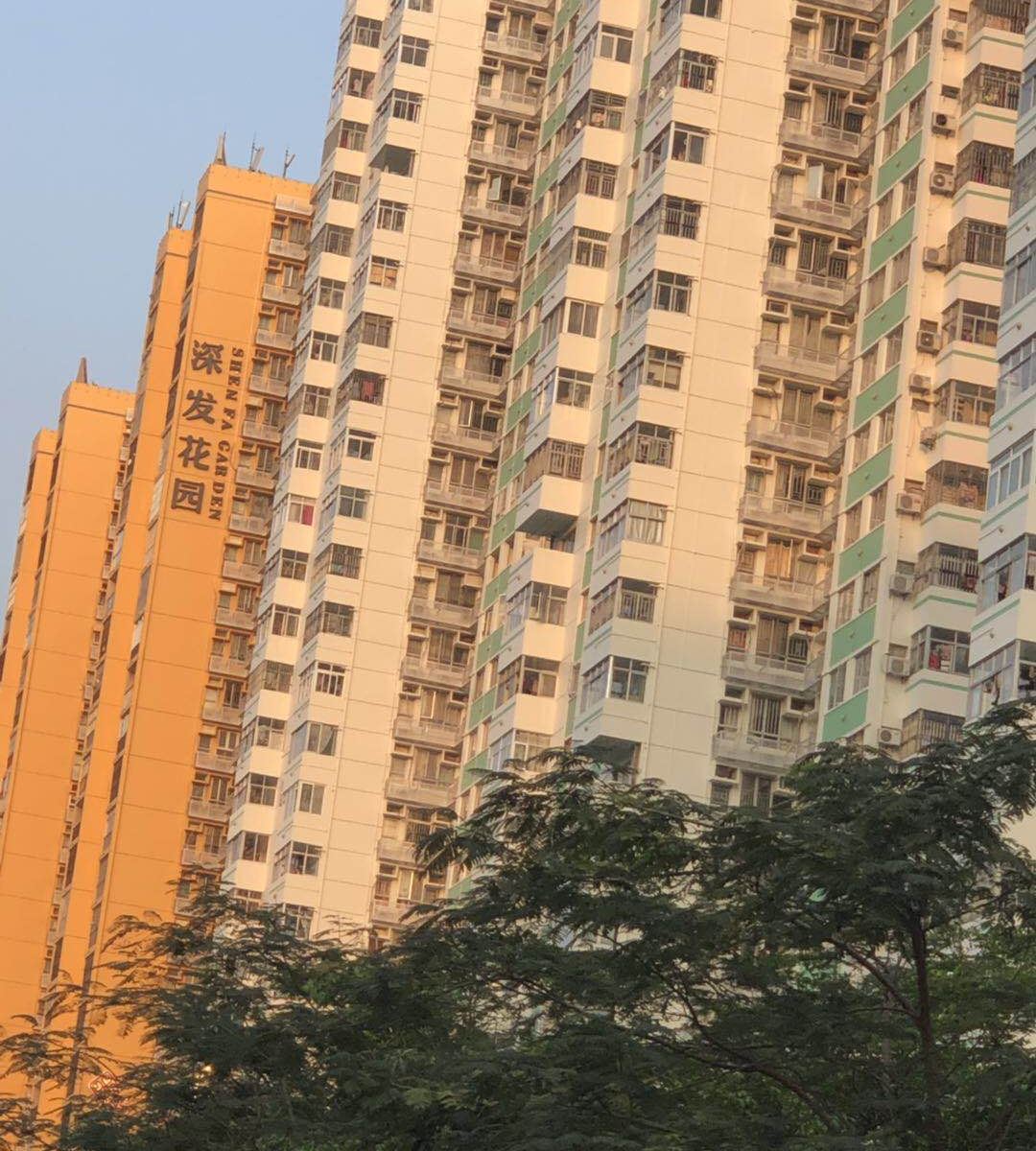 深圳温馨港青年旅舍