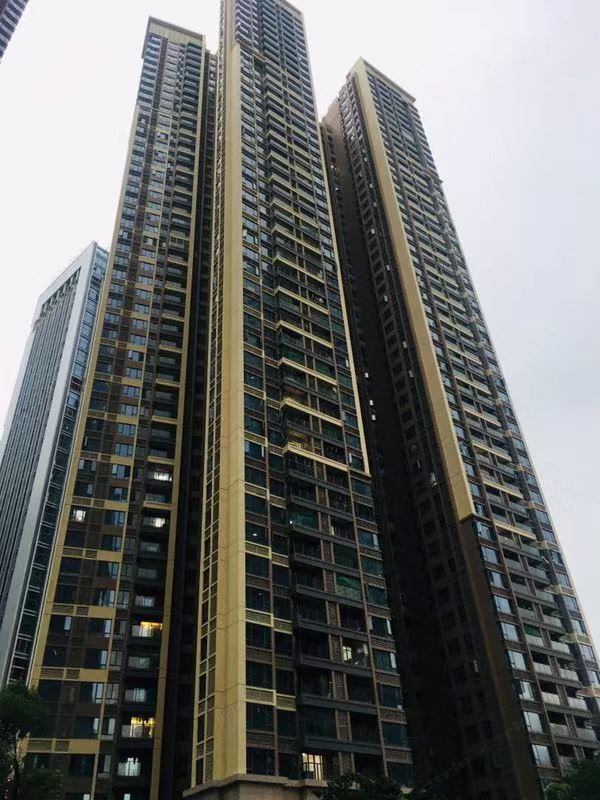 深圳青果青年国际旅舍