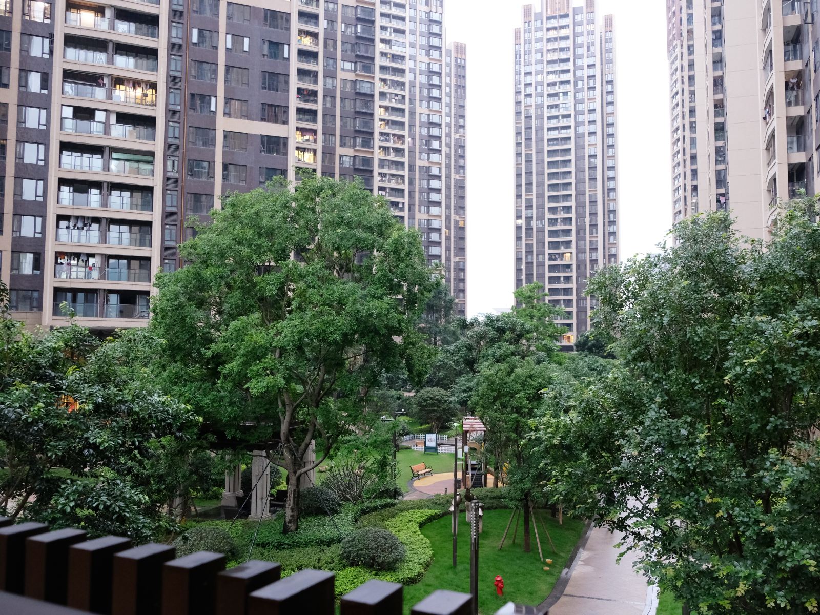 深圳柠檬树青年旅社