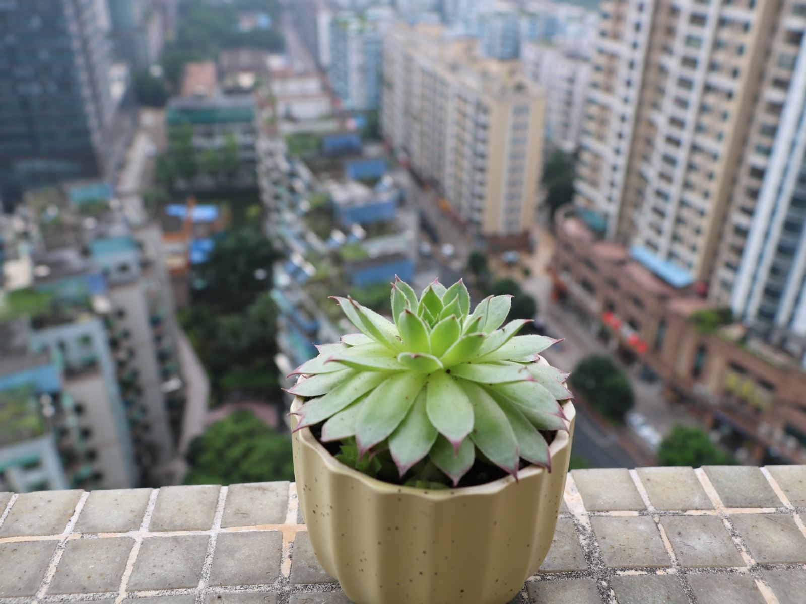 广州行走的家青年旅舍