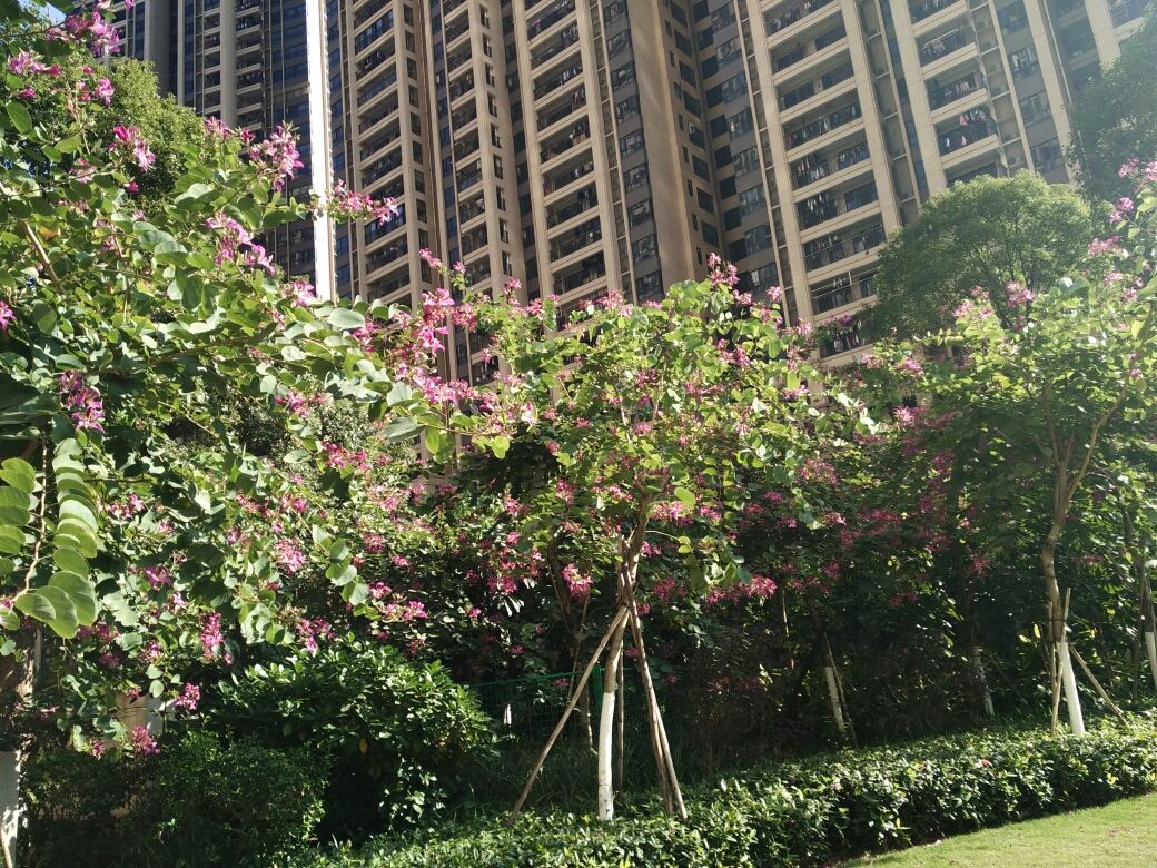 广州自由自在青年旅舍