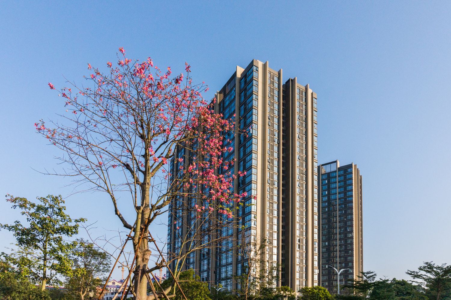 广州花城里复式(工业四路分店)