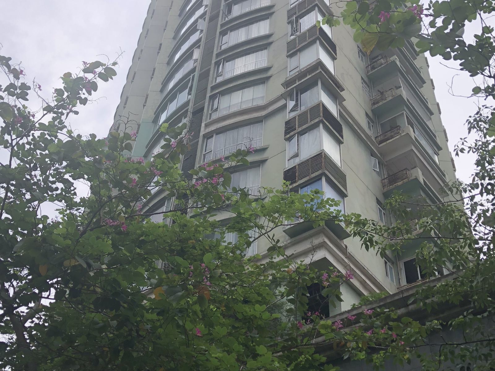 广州鸟喵青年旅舍