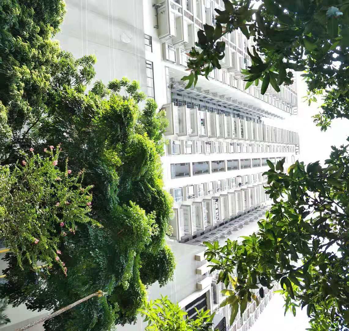广州艺术家青年旅社