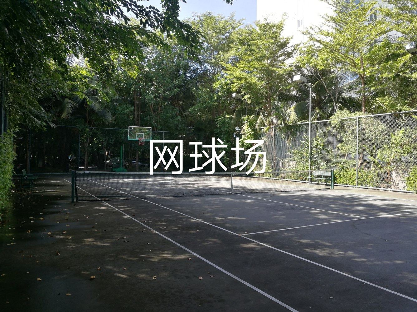 其他