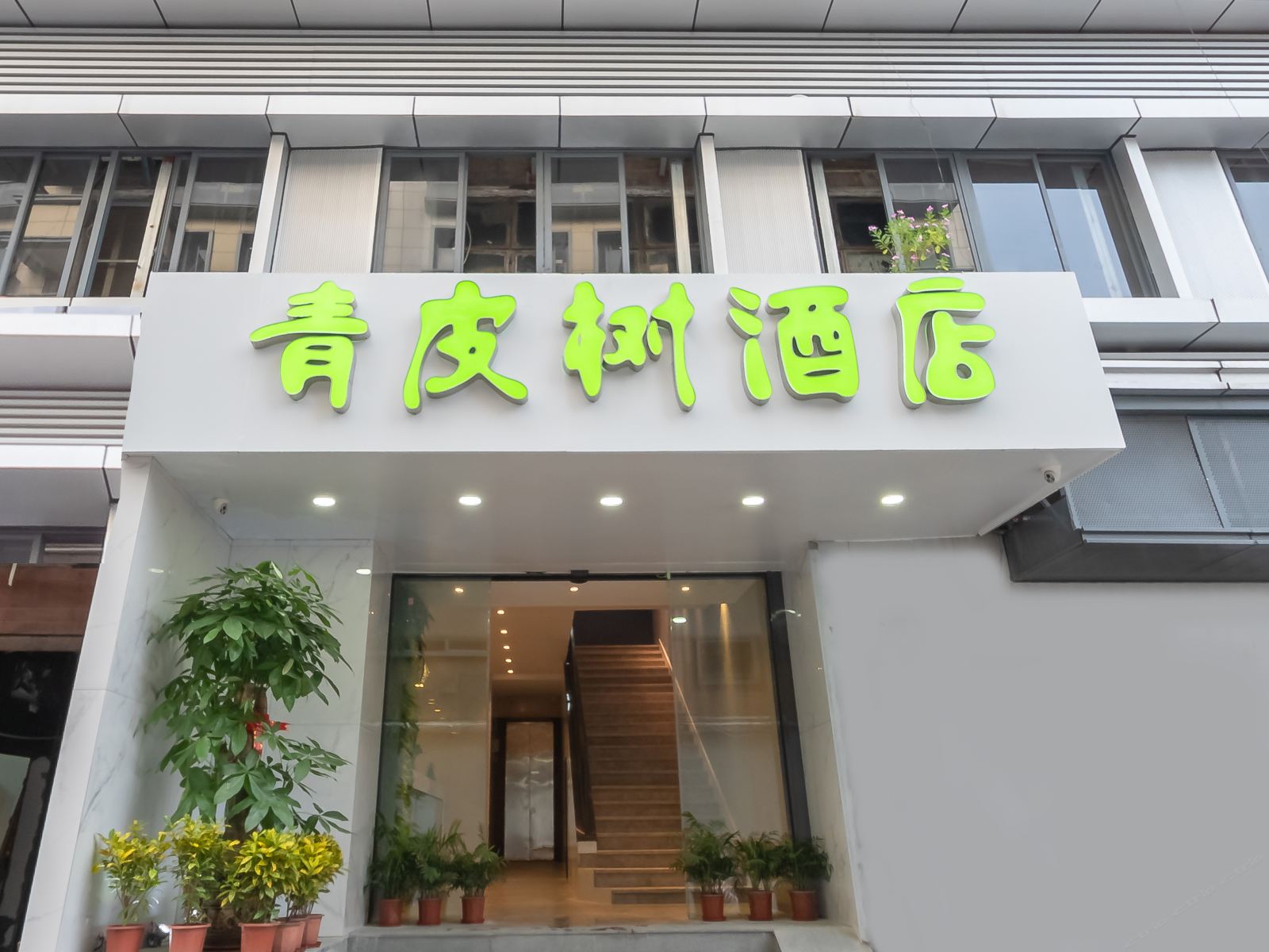 青皮树酒店(福州仓山区上三路店)