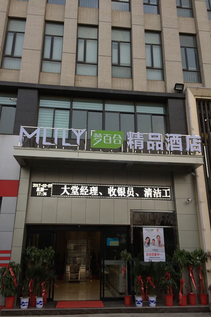 Mlily梦百合零压酒店(武汉客厅极地海洋世界店)