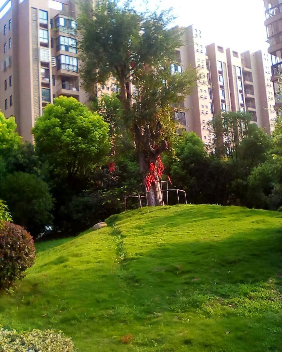 武汉后湖私家花园湖景阳光公寓