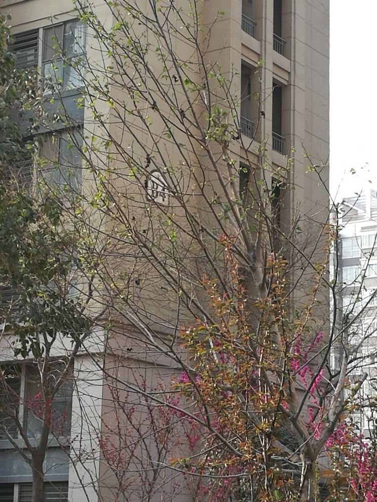 青年公寓(郑州工大店)