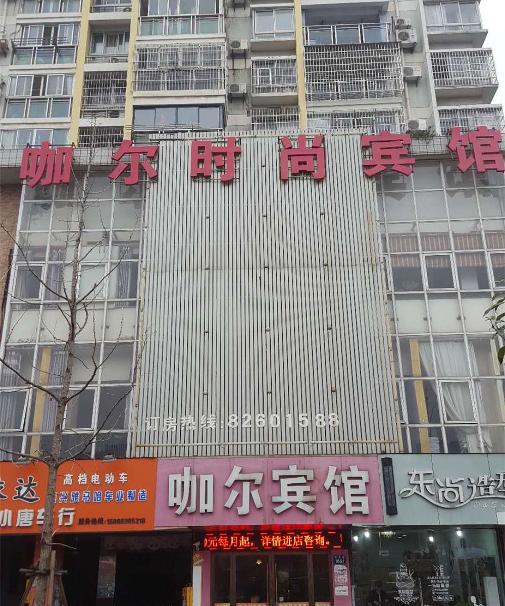 外观