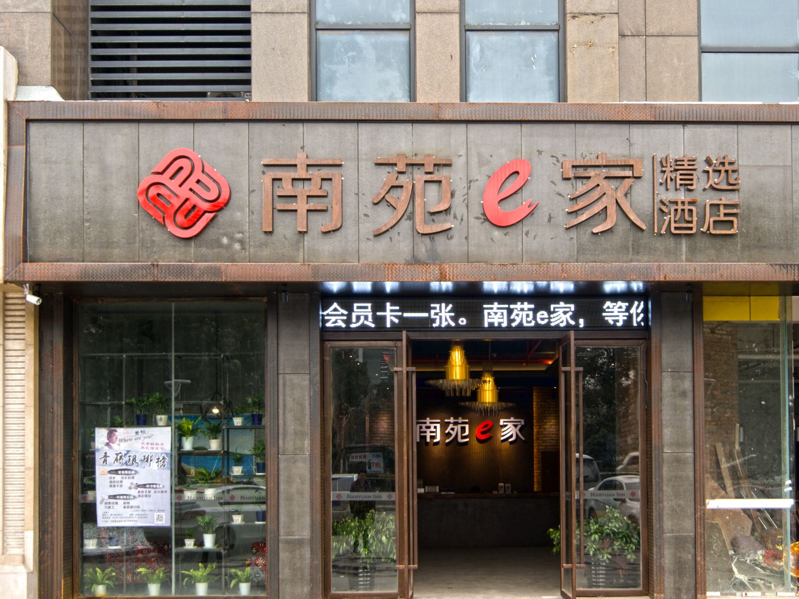 外观