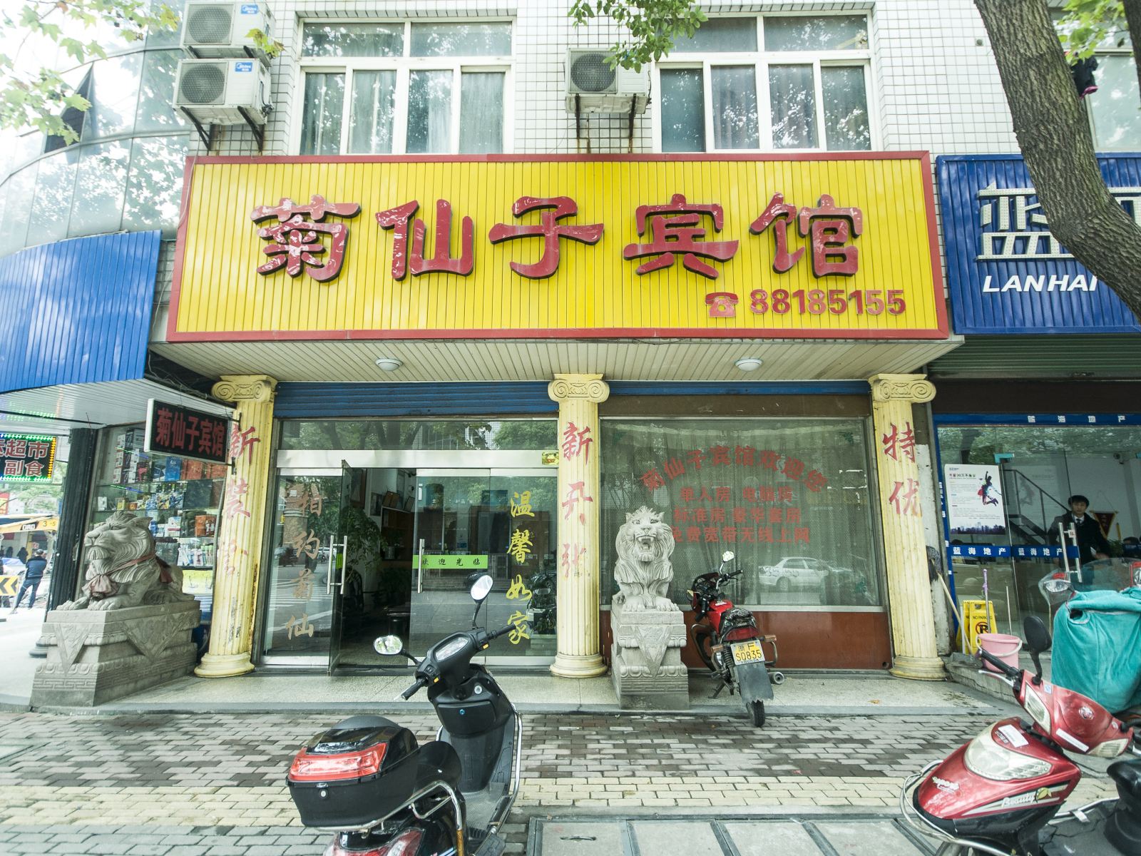 外观