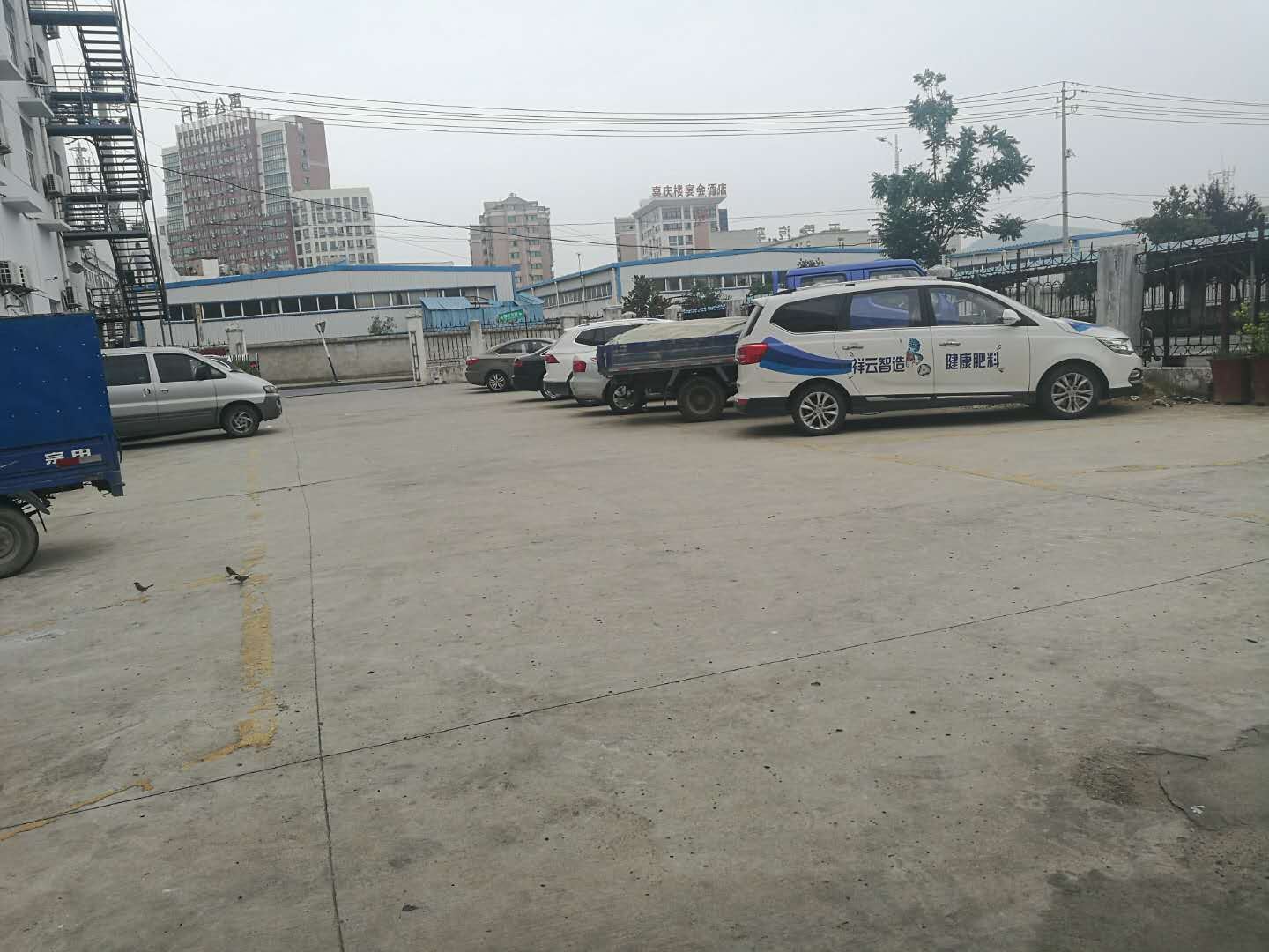 其他