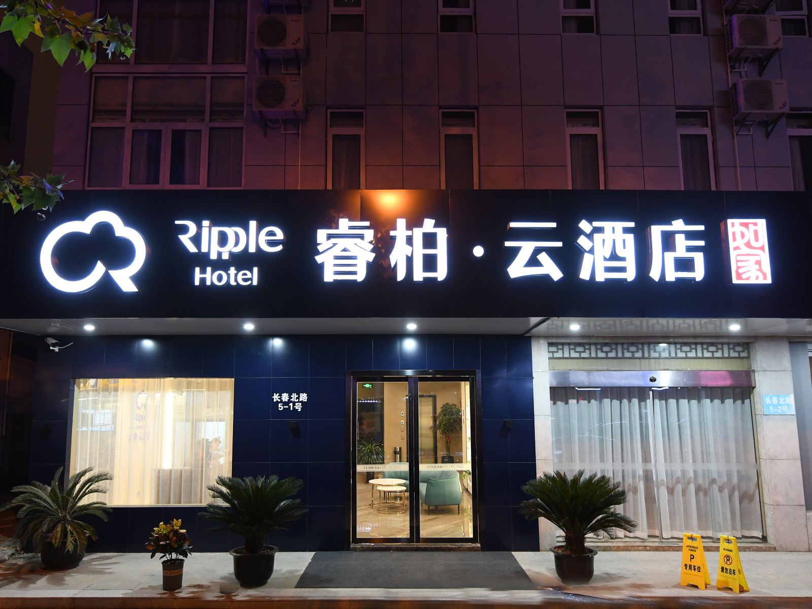 外观