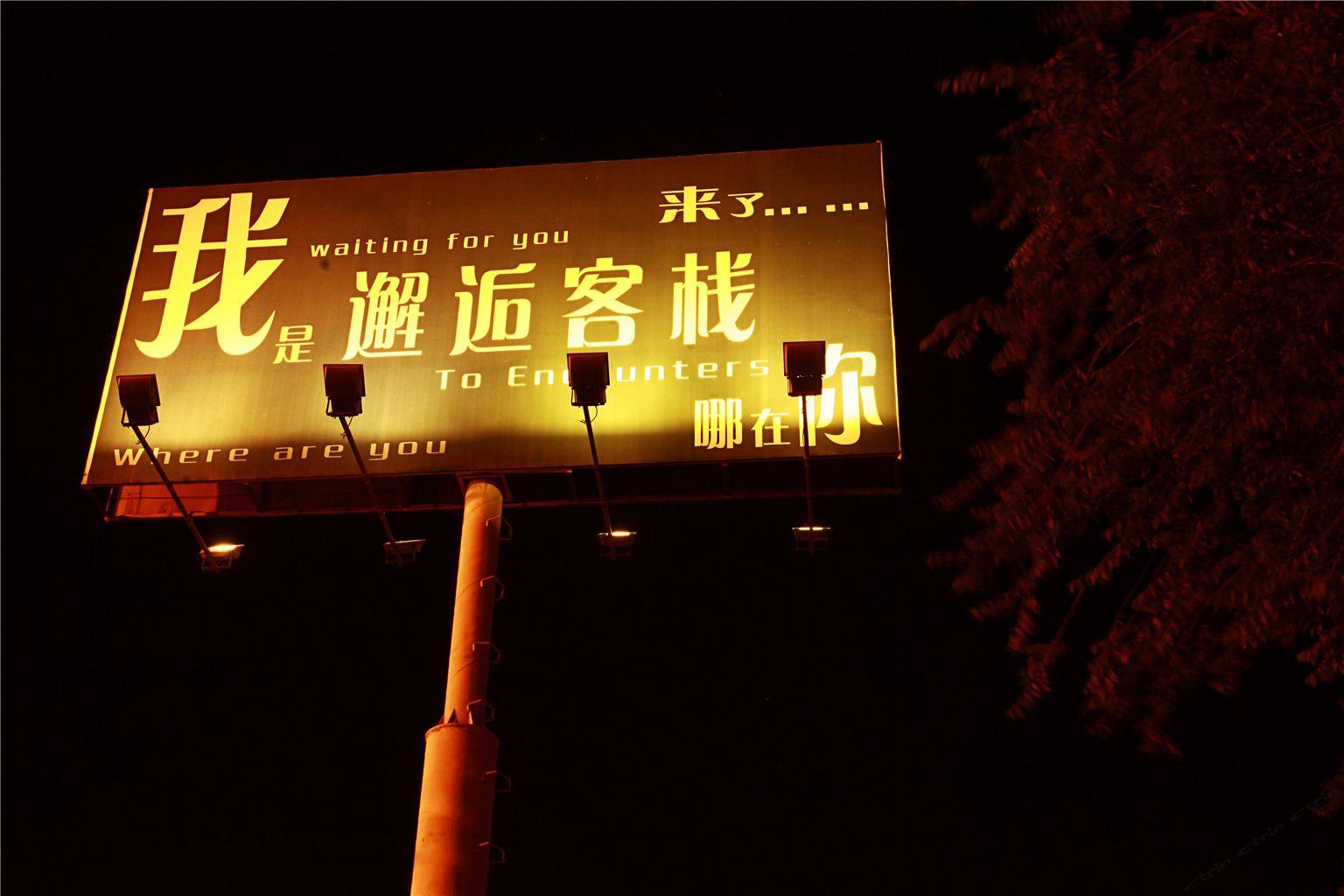 其他