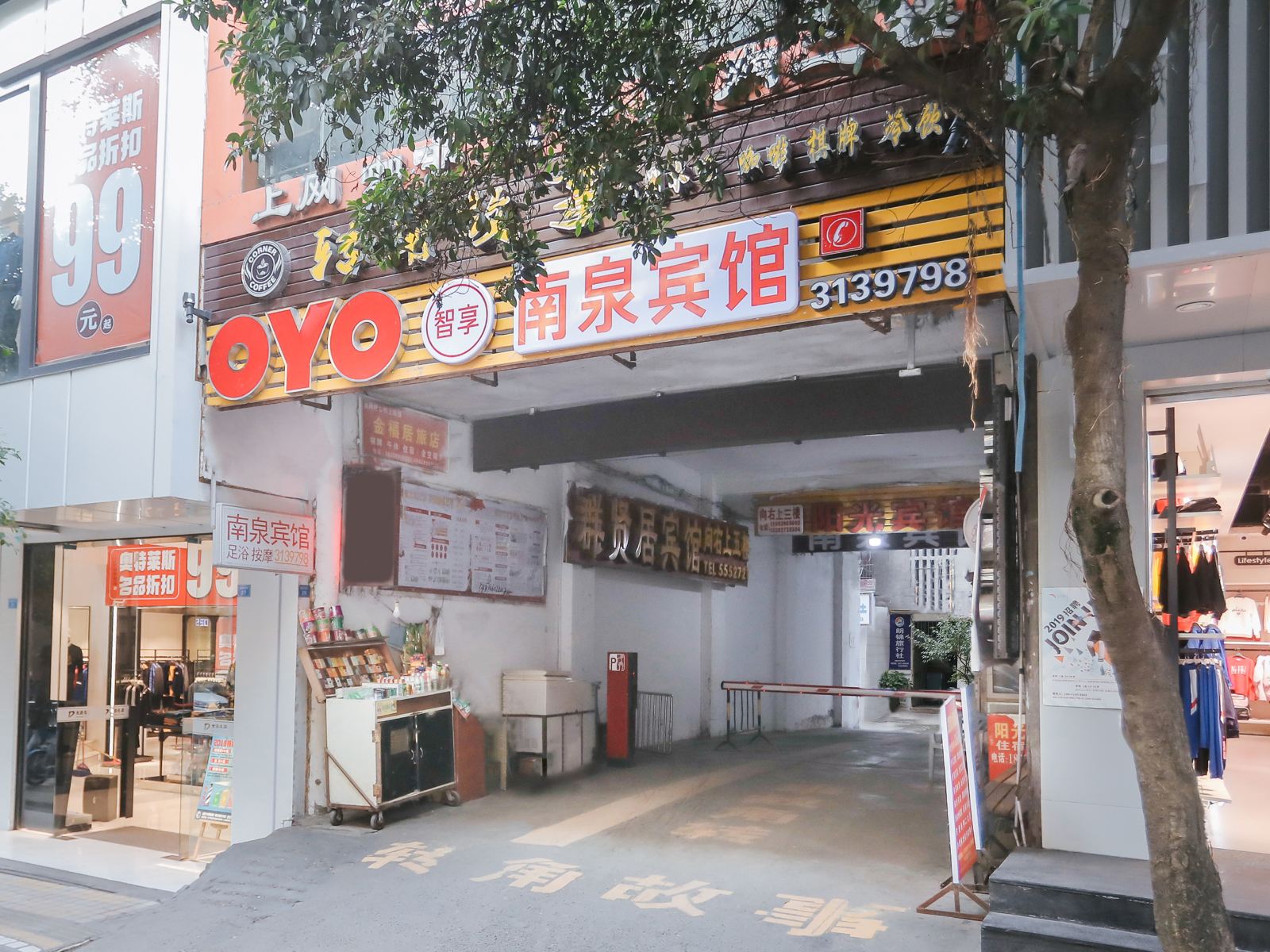 外观