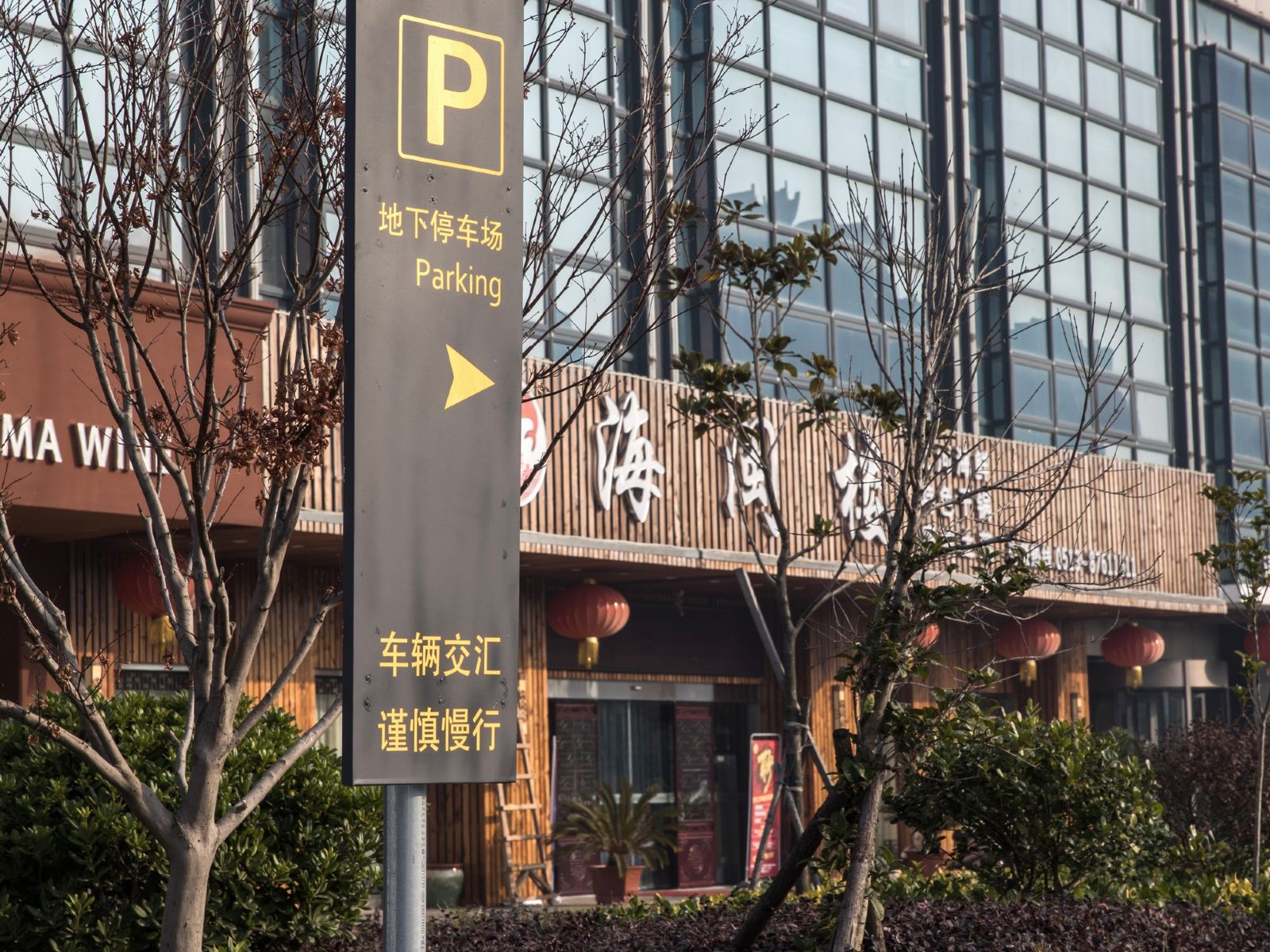 外观