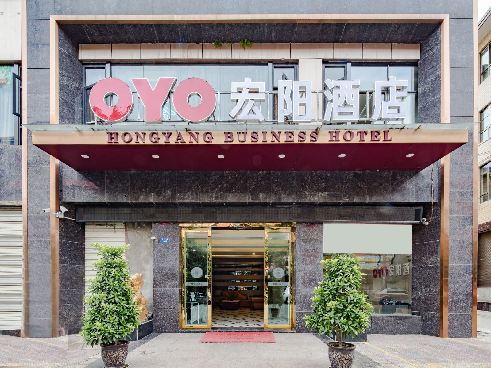 外观