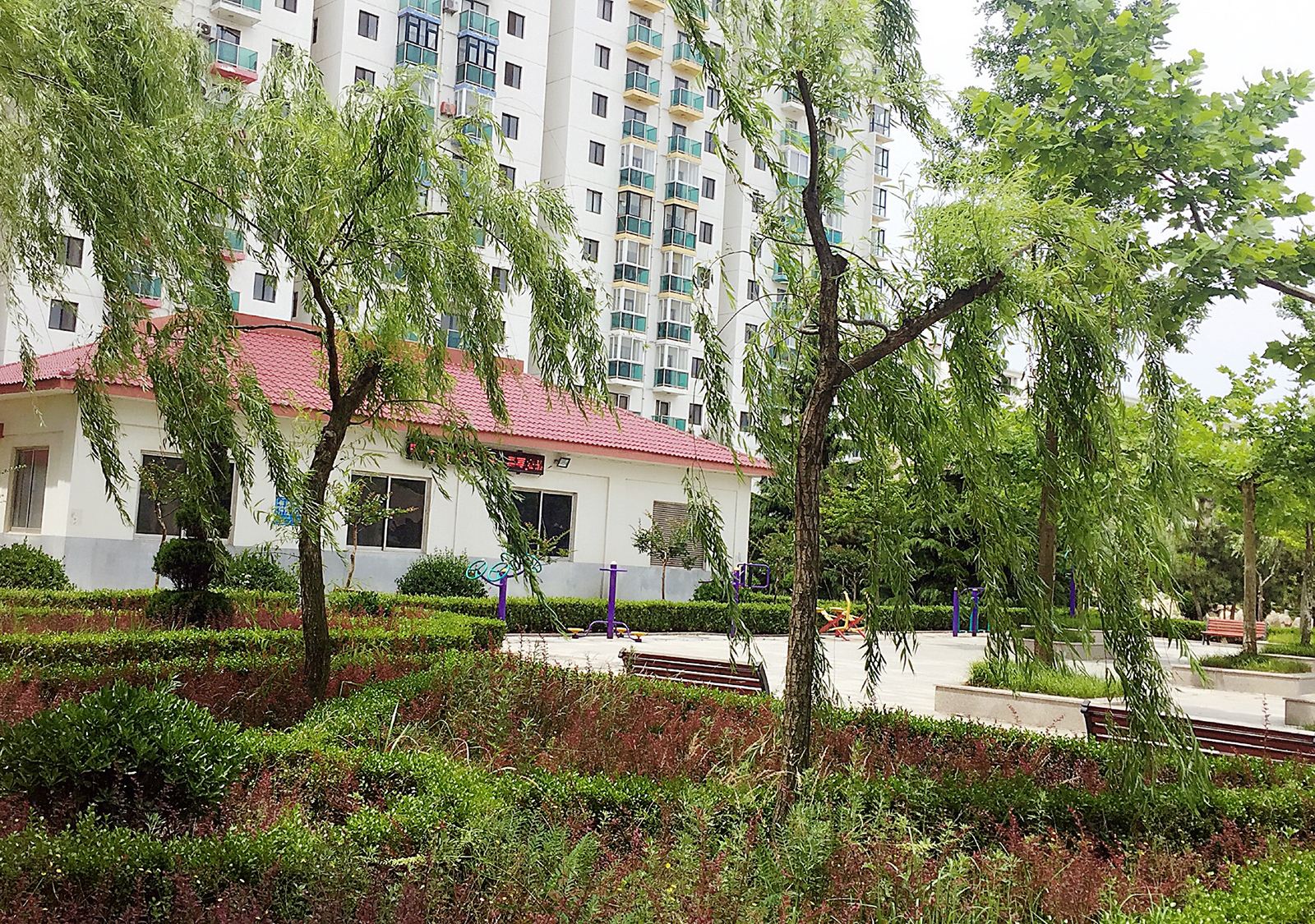 乳山慢游养生旅游俱乐部