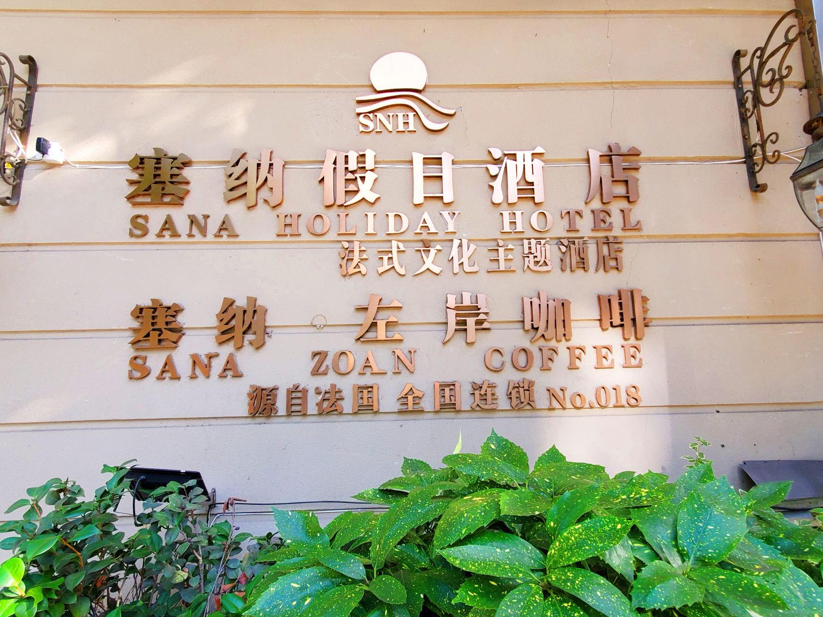 外观