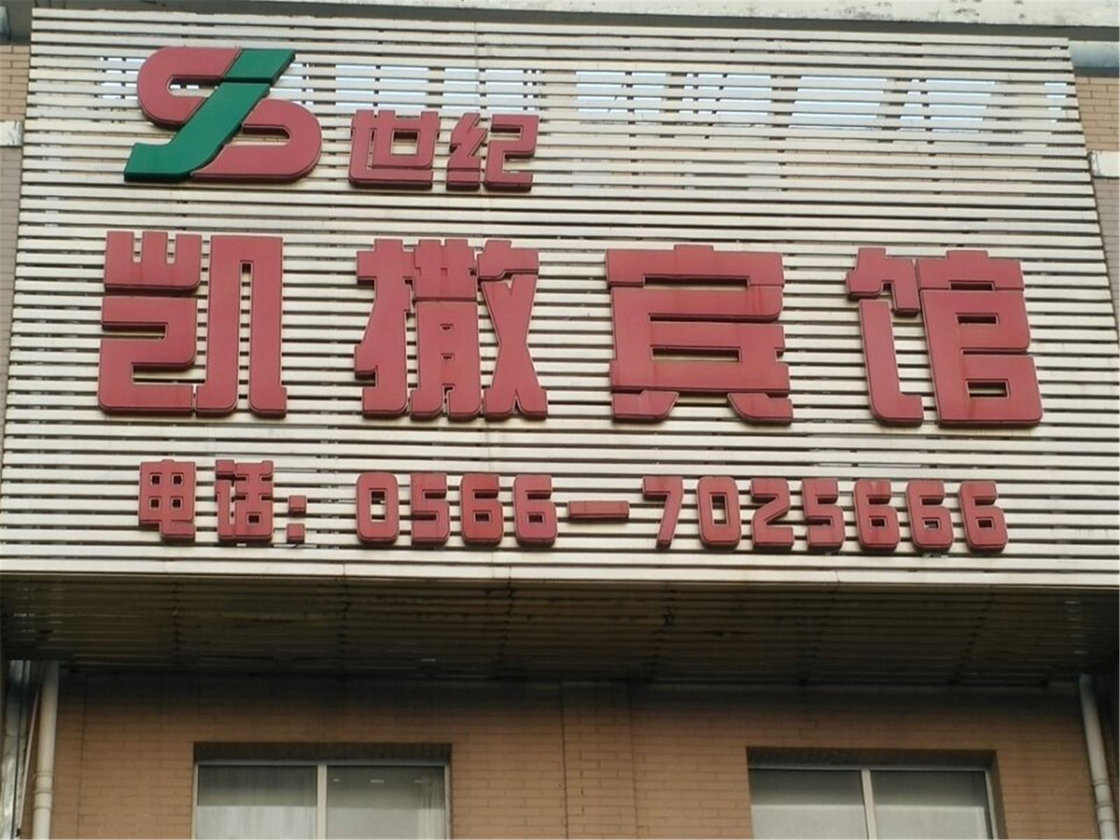 外观