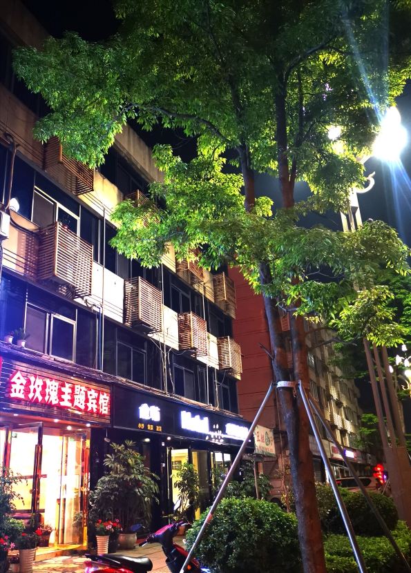 新津金玫瑰主题宾馆
