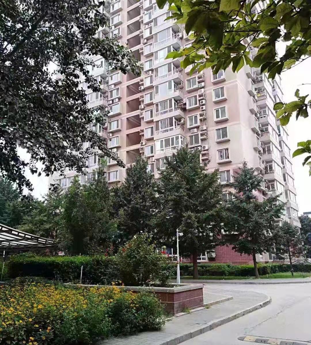 北京绿森林青年民宿